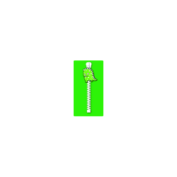 Protext Pencil Case Green