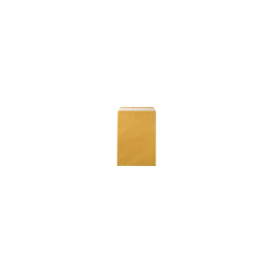 Staples Envelopes Kraft...