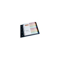 Avery 920147 Dividers...